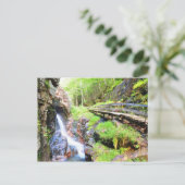 Prachtige natuurwatervalstand NH-Briefkaart Briefkaart (Staand voorkant)