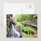 Prachtige natuurwatervalstand NH-Briefkaart Briefkaart (Voorkant / Achterkant)