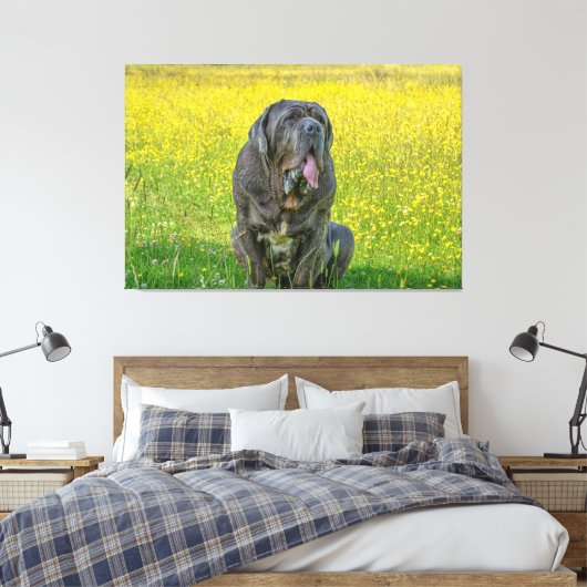 Prachtige Neapolitan Mastiff Canvas Afdruk (Insitu (Slaapkamer))