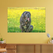 Prachtige Neapolitan Mastiff Canvas Afdruk (Insitu (Woonkamer))