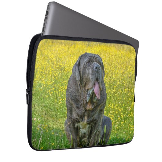 Prachtige Neapolitan Mastiff Laptop Sleeve (Voorkant Rechts)