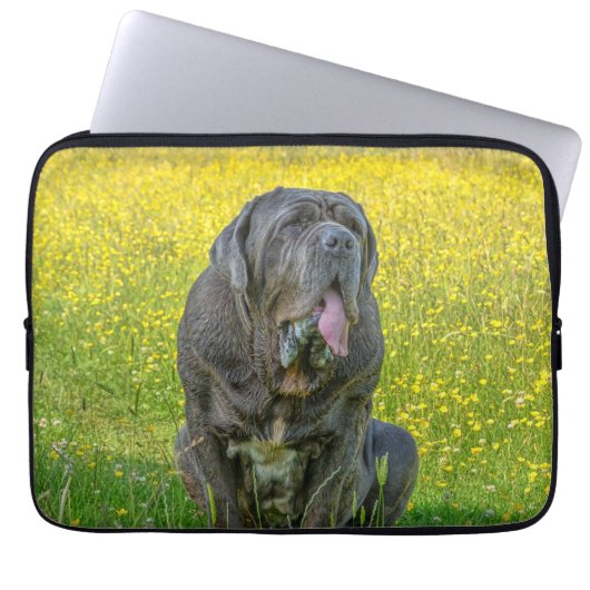 Prachtige Neapolitan Mastiff Laptop Sleeve (Voorkant)