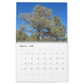 Prachtige Noordelijke Kalender van Mexico (Feb 2026)