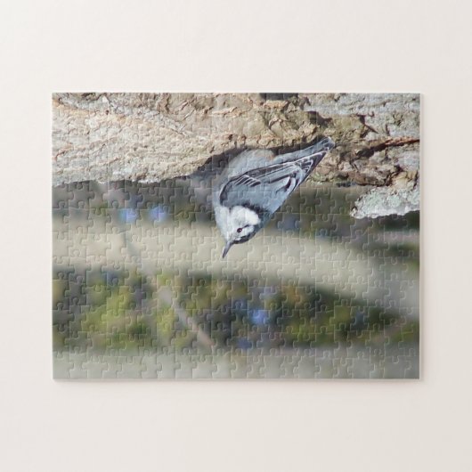 Prachtige Nuthatch Puzzel Legpuzzel (Horizontaal)