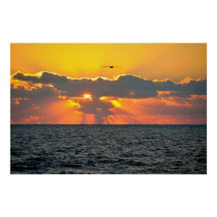 Prachtige oceaan strand zonsopgang perfect poster