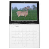 Prachtige Ohio 2017-agenda van Thomas Minutolo Kalender (Mar 2027)