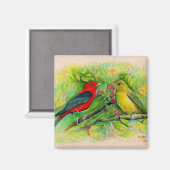 Prachtige olietanagers Waterverf schilderen Magneet (Voorkant / Achterkant)