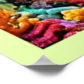 Prachtige onderwater octopus kunst poster (Hoek)