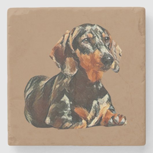 Prachtige Onderzetter van Dachshund Marble (Voorkant)
