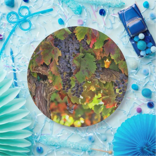 Prachtige oogst van wijn uit wijngaarden Picnic Pa Papieren Bordje (Feest)