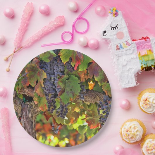 Prachtige oogst van wijn uit wijngaarden Picnic Pa Papieren Bordje (Feest)