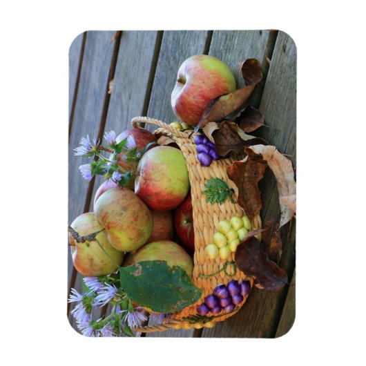 Prachtige oogstmand van Delicious Apples Magneet (Verticaal)