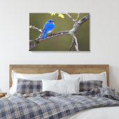 Prachtige oosterse blauwvogel canvas afdruk (Insitu (Slaapkamer))