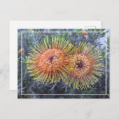 Prachtige Oranje & Gele Proteas Floral Briefkaart (Voorkant / Achterkant)