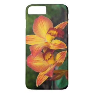 Prachtige Oranje Gele Rhyncattleanthe Orchid Case-Mate iPhone Case