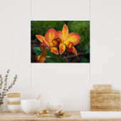 Prachtige Oranje Gele Rhyncattleanthe Orchid Poster (Keuken)
