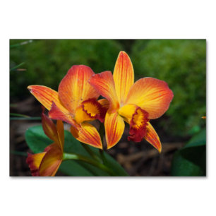 Prachtige oranje gele Rhyncattleanthe orchidee Kaart