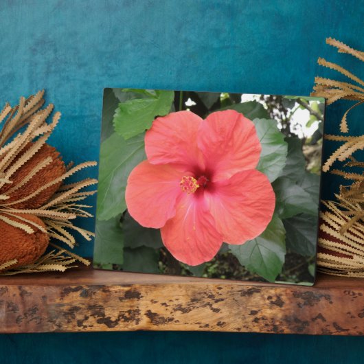 Prachtige Oranje hebiscus Flower Plaque Fotoplaat (Zijkant)