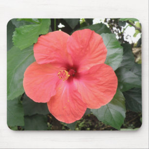 Prachtige Oranje Hibiscus Flower Mousepad Muismat