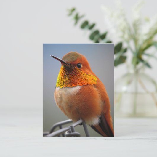 Prachtige Oranje Hummingbird Briefkaart (Staand voorkant)