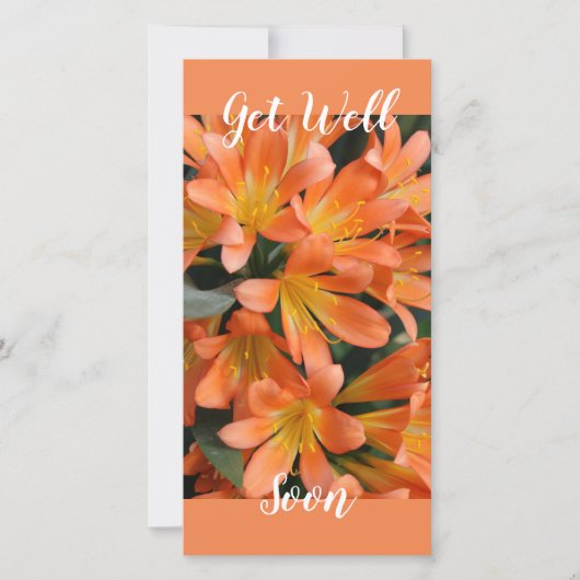 Prachtige Oranje Kaffir Lily Flowers Feestdagenkaart (Voorkant)