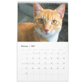 Prachtige Oranje katten 2023 Kalender (Feb 2027)