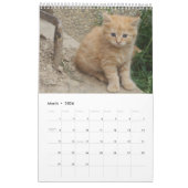 Prachtige Oranje katten 2023 Kalender (Mar 2026)