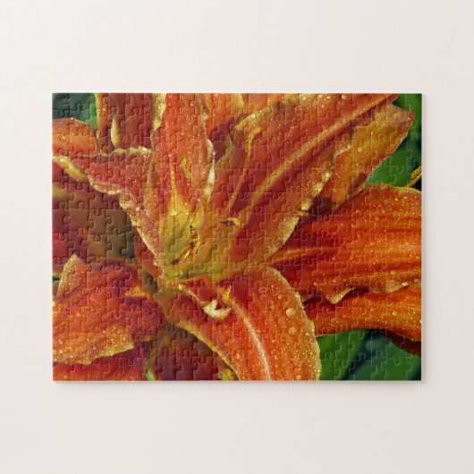 Prachtige oranje luiachtige puzzel (Horizontaal)