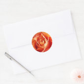 Prachtige Oranje Roos Bloom Ronde Sticker (Envelop)