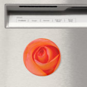 Prachtige Oranje Roos Knop Magneet (Insitu (Vaatwasser))