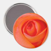 Prachtige Oranje Roos Knop Magneet (Voorkant / Achterkant)