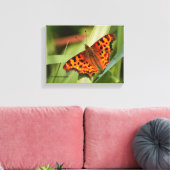 Prachtige Oranje satyr comma Butterfly Canvas Afdruk (Insitu (Woonkamer))