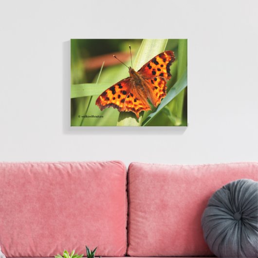 Prachtige Oranje satyr comma Butterfly Canvas Afdruk (Insitu (Woonkamer))