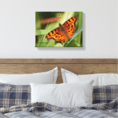 Prachtige Oranje satyr comma Butterfly Canvas Afdruk (Insitu (Slaapkamer))