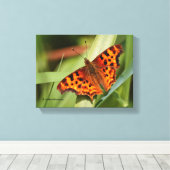 Prachtige Oranje satyr comma Butterfly Canvas Afdruk (Insitu (Houten vloer))