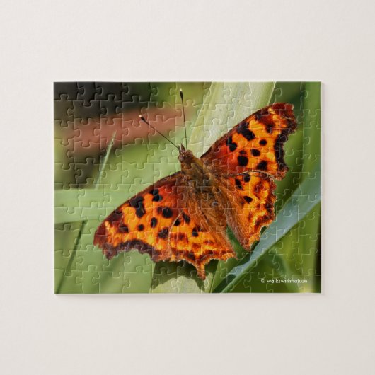 Prachtige Oranje satyr comma Butterfly Legpuzzel (Horizontaal)