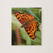 Prachtige Oranje satyr comma Butterfly Legpuzzel (Verticaal)