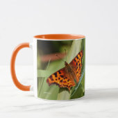 Prachtige Oranje satyr comma Butterfly Mok (Links)