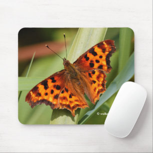 Prachtige Oranje satyr comma Butterfly Muismat