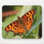 Prachtige Oranje satyr comma Butterfly Muismat (Voorkant)