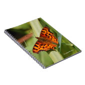 Prachtige Oranje satyr comma Butterfly Notitieboek (Rechterzijde)