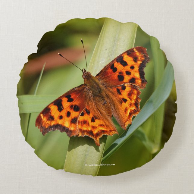 Prachtige Oranje satyr comma Butterfly Rond Kussen (Voorkant)