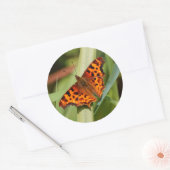 Prachtige Oranje satyr comma Butterfly Ronde Sticker (Envelop)
