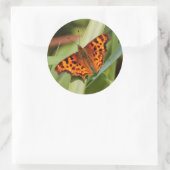 Prachtige Oranje satyr comma Butterfly Ronde Sticker (Tas)