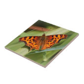 Prachtige Oranje satyr comma Butterfly Tegeltje (Zijkant)