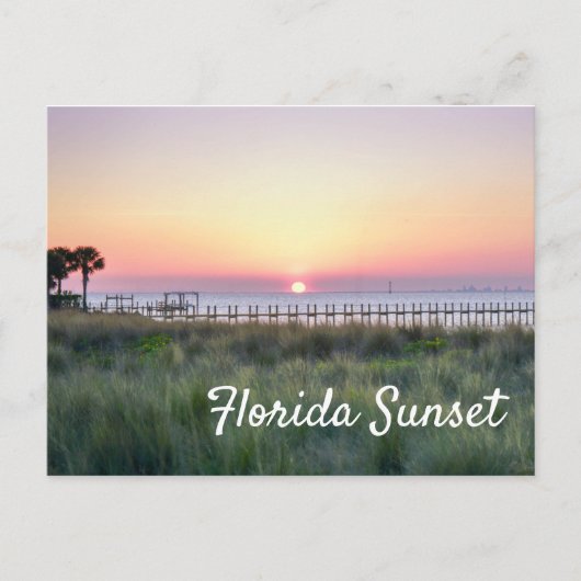 Prachtige Oranje soonskelk van Florida Briefkaart (Voorkant)