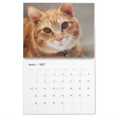 Prachtige Oranje tablet 2022 Kalender (Mar 2027)