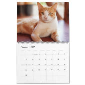 Prachtige Oranje tablet 2022 Kalender (Feb 2027)