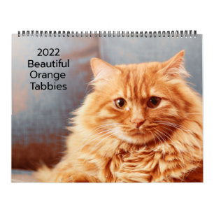 Prachtige Oranje tablet 2022 Kalender