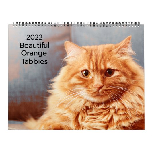 Prachtige Oranje tablet 2022 Kalender (Hoes)